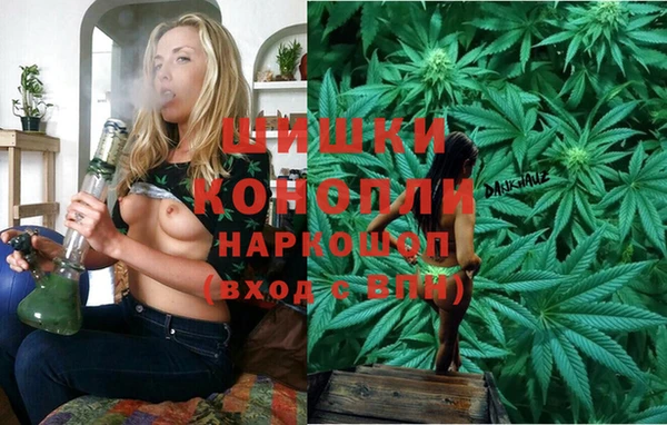 дурь Алексин